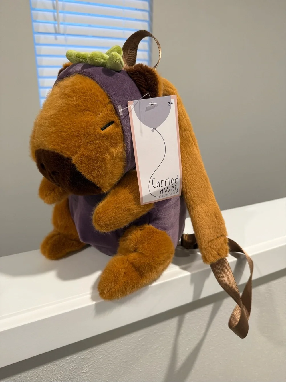 Capybara wearing Eggplant costume backpack